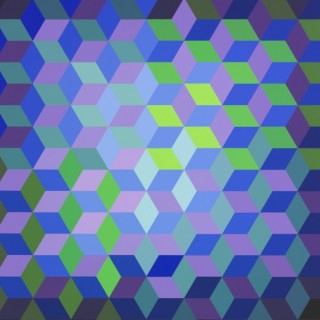Victor Vasarely | New Acquisition II